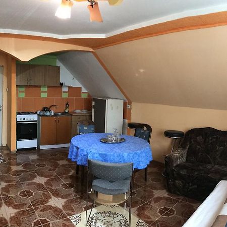 Apartamente Muncitori Strugurilor 53 Сібіу Екстер'єр фото