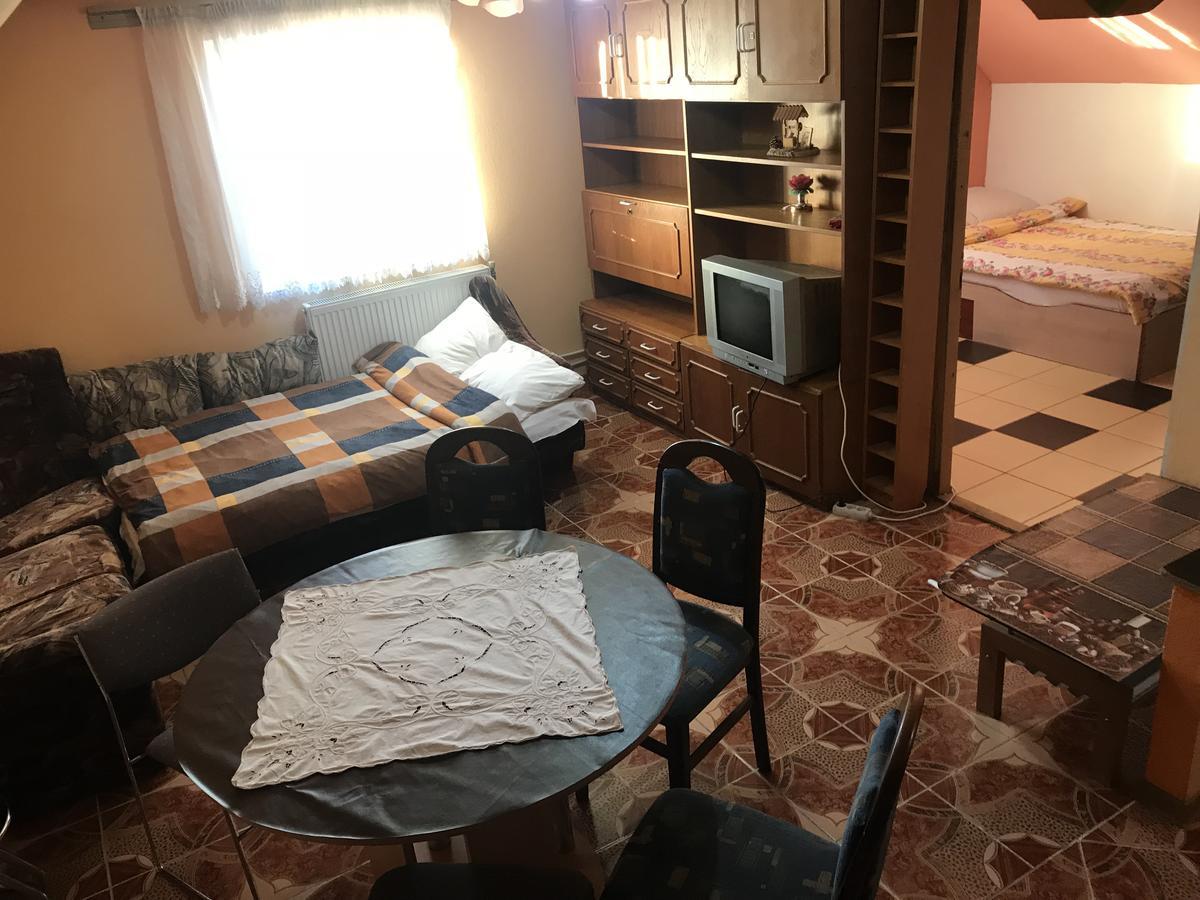 Apartamente Muncitori Strugurilor 53 Сібіу Екстер'єр фото